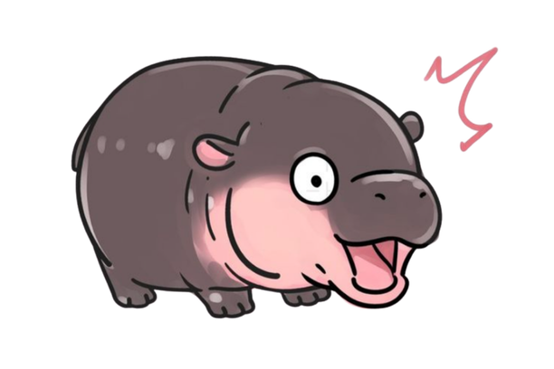 Surprised baby pygmy hippo
